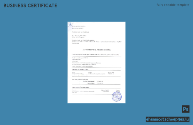 Beispielansicht einer Registrierungsurkunde aus Bosnien und Herzegowina